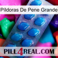 Píldoras De Pene Grande viagra1